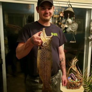 Meet your Posher, Jeff